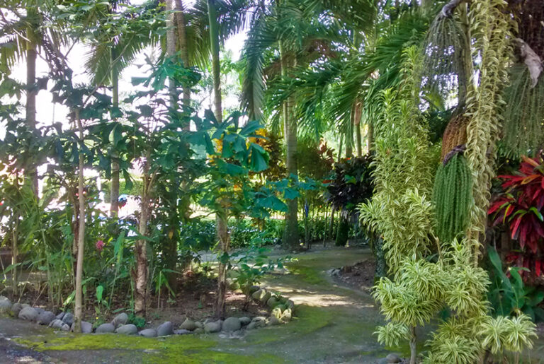 IMG_20160814_101726824_HDR