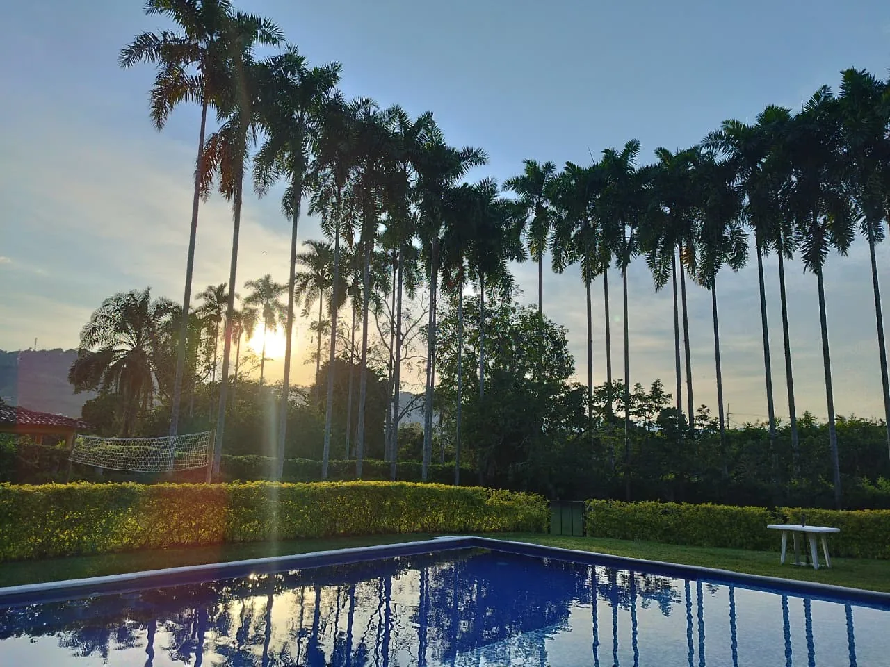 Sunset over the pool, palms mirrored in the water