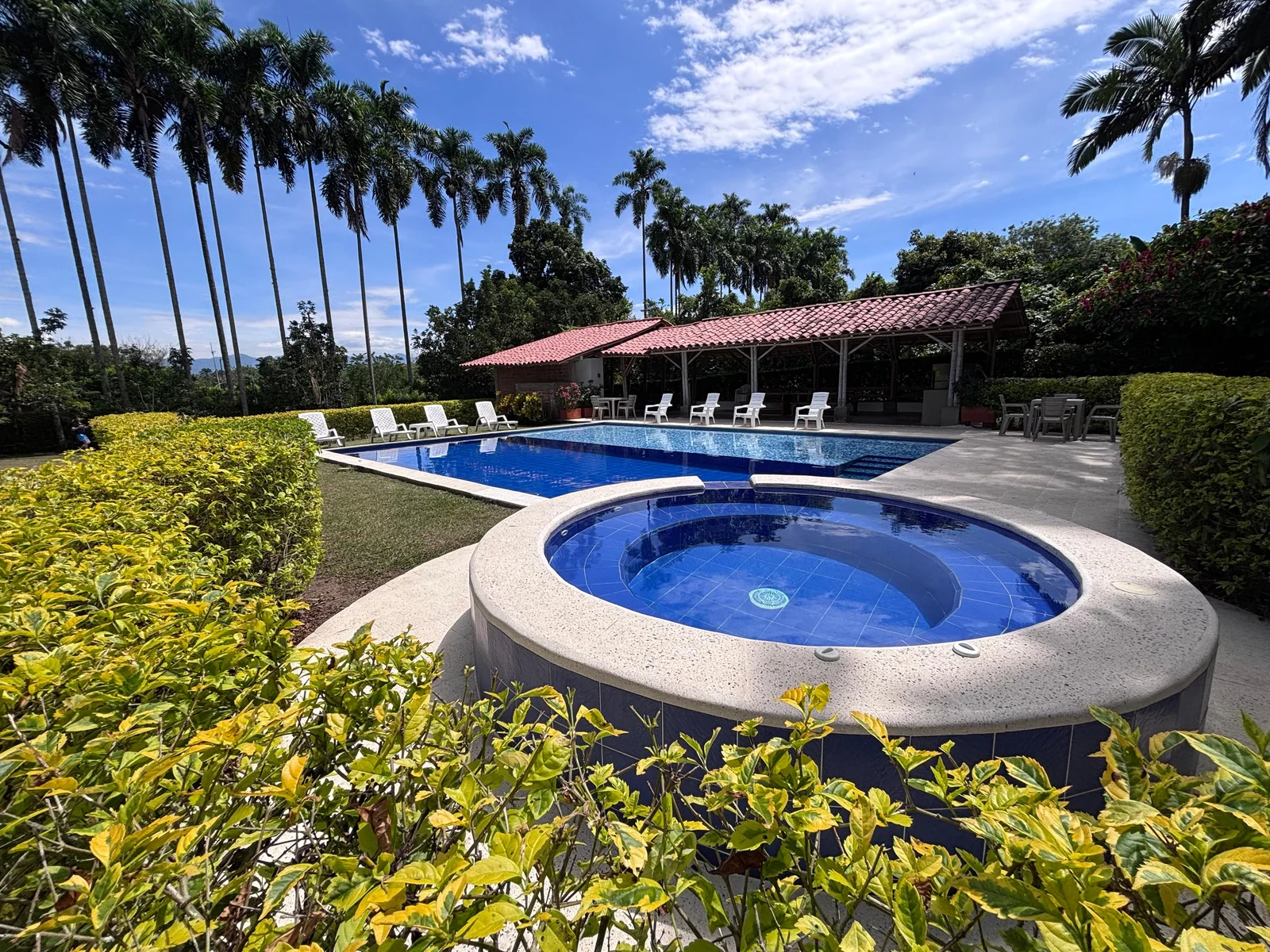 Jacuzzi and pool among the gardens