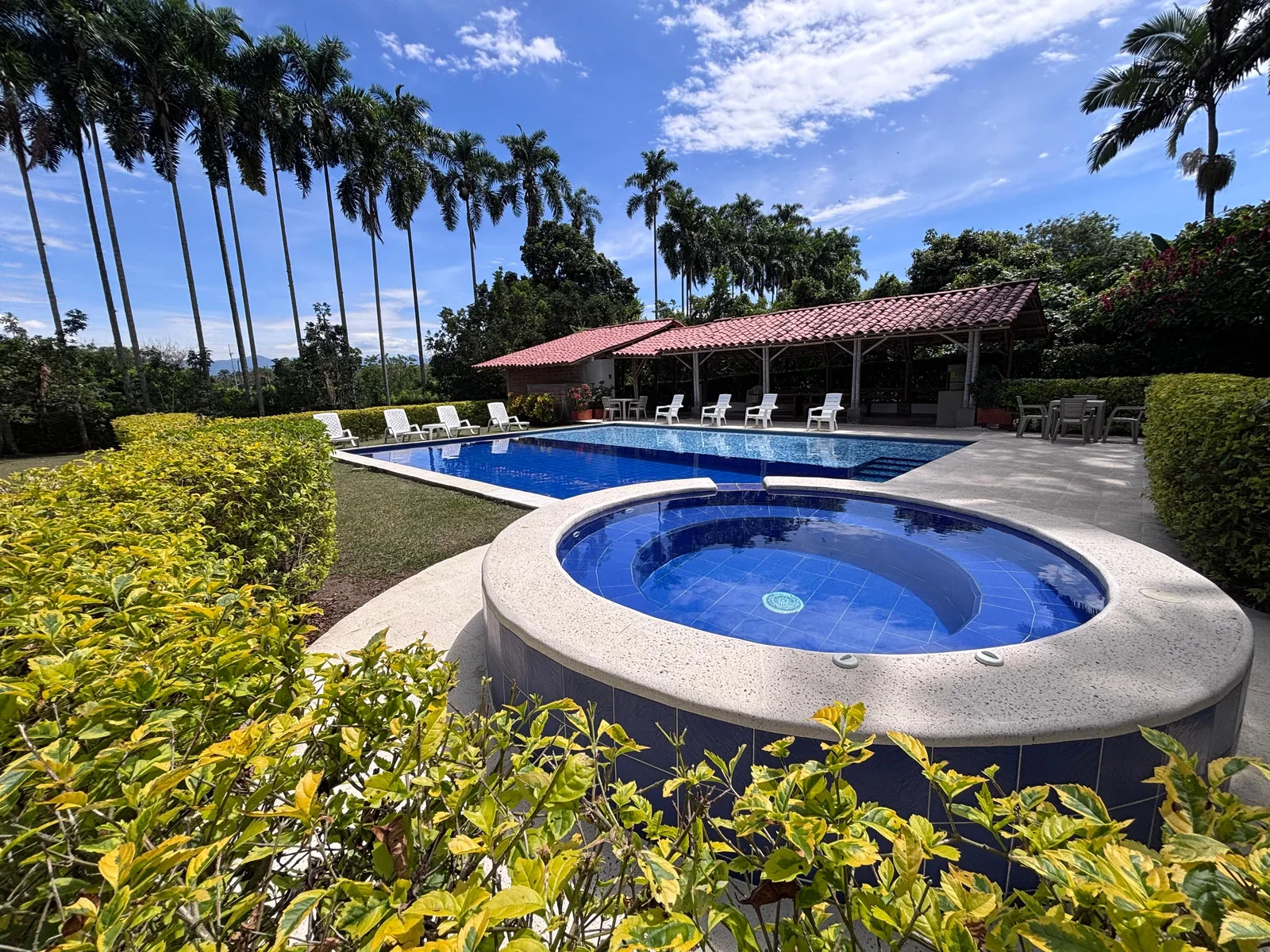 Jacuzzi for twelve surrounded by palms