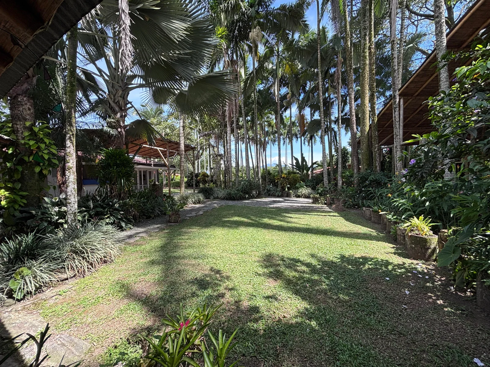 Gardens and palms of the Coffee Region