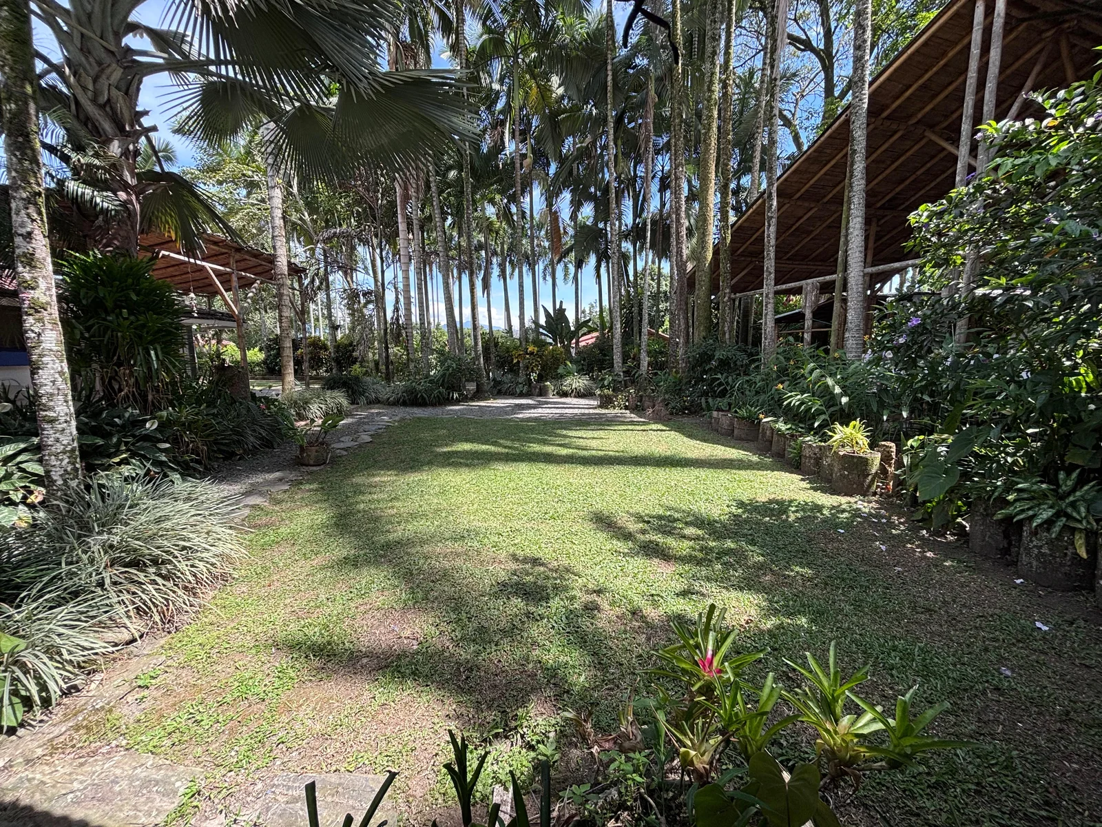 Gardens and real palm trees at El Refugio