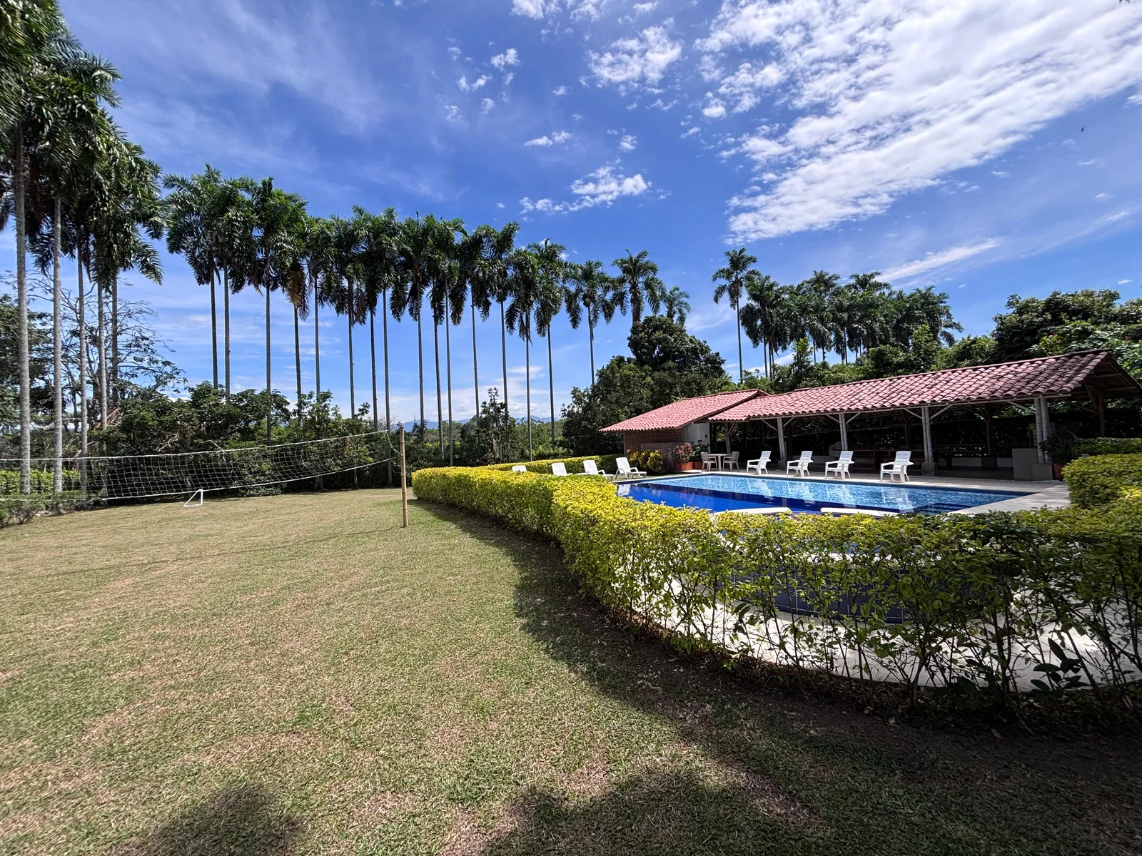 El Refugio's pool among palm trees