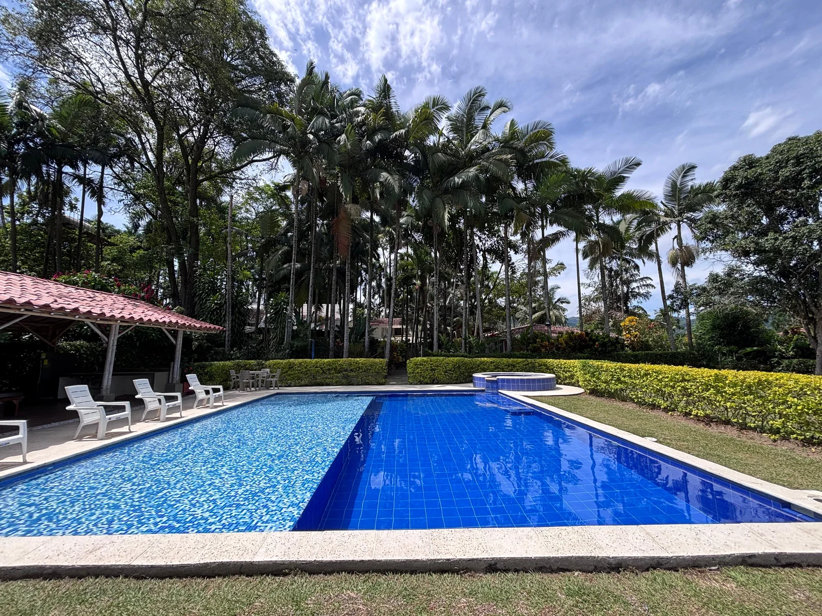 El Refugio's pool among palm trees